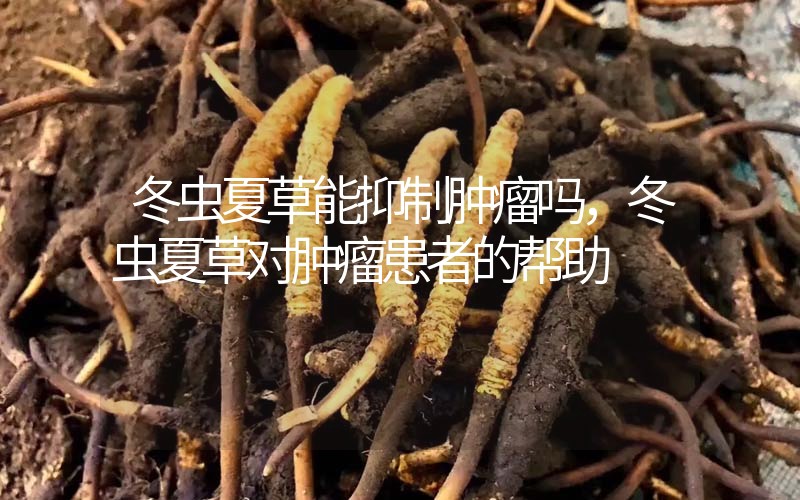 冬蟲夏草能抑制腫瘤嗎？冬蟲夏草對腫瘤患者的幫助