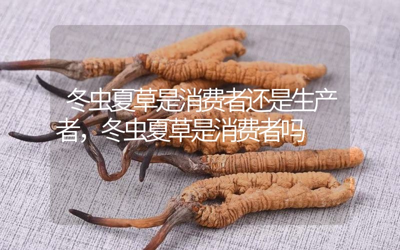 貧血吃冬蟲夏草有效果嗎，貧血虛弱者可以用冬蟲夏草嗎？