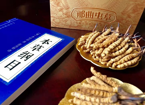 冬蟲(chóng)夏草真就那么好嗎？它的主要功能是什么呀