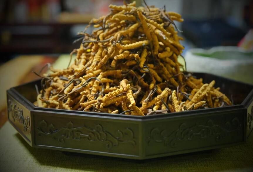 <a href=http://m.jasw8.com/ target=_blank class=infotextkey>冬蟲(chóng)夏草</a>