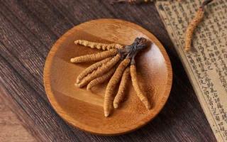 掌握竅門，如何辨別優(yōu)質冬蟲夏草，保障健康！