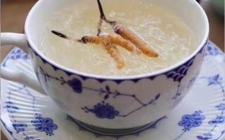 冬蟲(chóng)夏草燉燕窩怎么做？