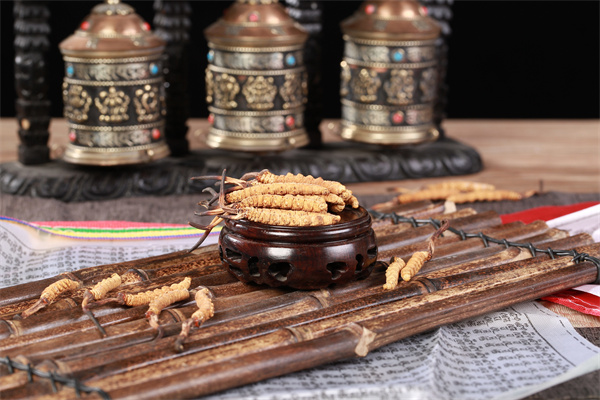 冬蟲夏草和長香玉香瓜搭配的吃法