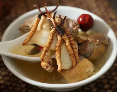 冬蟲夏草用什么壺煮水？