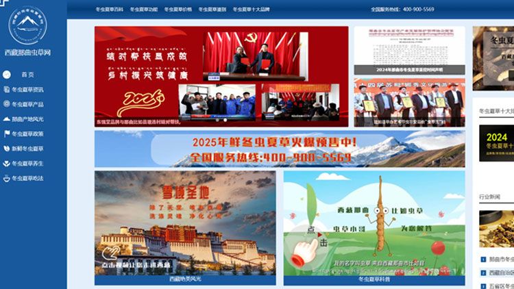 <a href=http://m.jasw8.com/ target=_blank class=infotextkey><a href=http://m.jasw8.com/ target=_blank class=infotextkey>西藏<a href=http://m.jasw8.com/ target=_blank class=infotextkey><a href=http://m.jasw8.com/s/nqcc/ target=_blank class=infotextkey>那曲蟲草</a></a></a>網(wǎng)</a>圖片