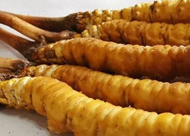 <a href=http://m.jasw8.com/sdph/zf/ target=_blank class=infotextkey>珍峰冬蟲夏草</a>主要的銷售模式