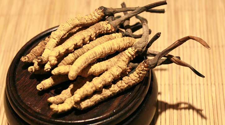 冬蟲夏草的價(jià)格一克：為何如此昂貴？