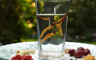 冬蟲(chóng)夏草鮮品泡酒：養(yǎng)生佳釀還是健康隱患？