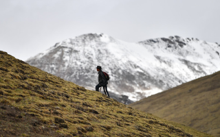 冬蟲夏草適合在什么地方生長