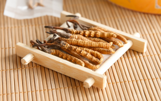 冬蟲夏草一般多少錢一斤？價(jià)格背后的價(jià)值解析