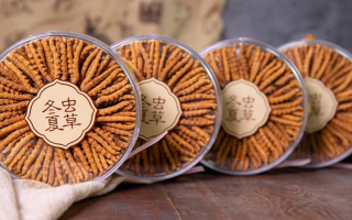 2025年7月冬蟲夏草價格行情公布！蟲草價格降了！