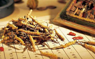 冬蟲夏草是什么長成的？揭秘其獨特的生長歷程