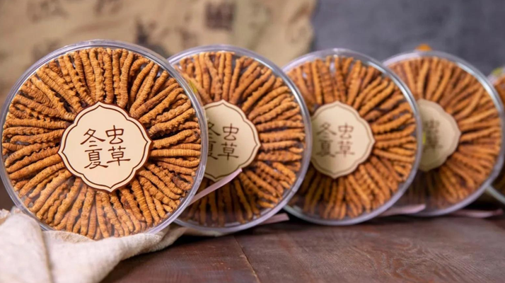 為什么老人喜歡冬蟲(chóng)夏草