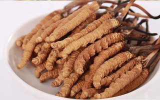 冬蟲夏草燉水鴨，搭配這些食材更滋補