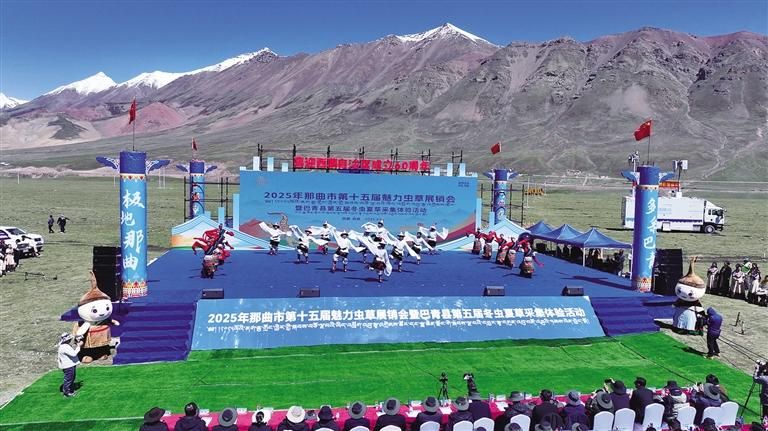 雪域高原迎盛會 蟲草之鄉(xiāng)展新顏——那曲市第十五屆魅力蟲草展銷會暨巴青縣第五屆冬蟲夏草采集體驗(yàn)活動盛大開幕