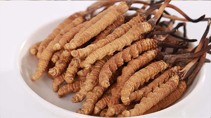 西藏特產(chǎn)冬蟲夏草藏紅花