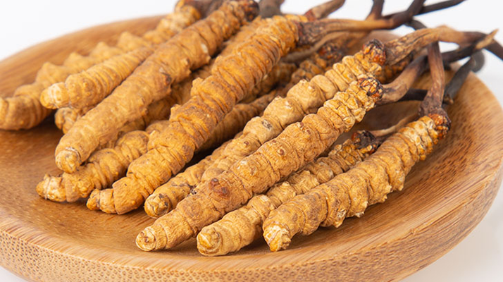 在西藏，冬蟲夏草真的觸手可得？