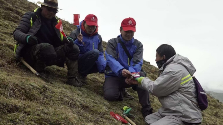 冬蟲夏草：把握最佳采摘季，守護(hù)自然饋贈(zèng)