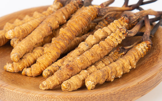 冬蟲(chóng)夏草，真有那么大效果？