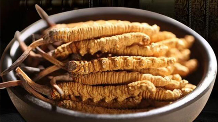 怎么樣泡冬蟲(chóng)夏草最好