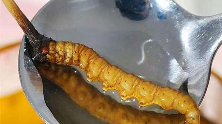 水煮鮮冬蟲夏草:保留營(yíng)養(yǎng)的最佳做法