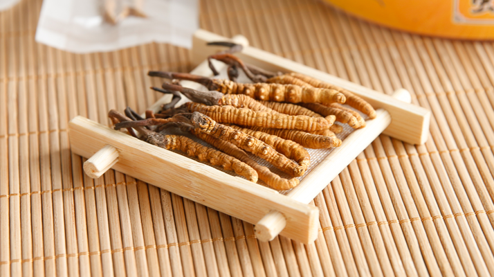 冬蟲夏草可以干燥存放嗎？科學(xué)儲存方法與注意事項