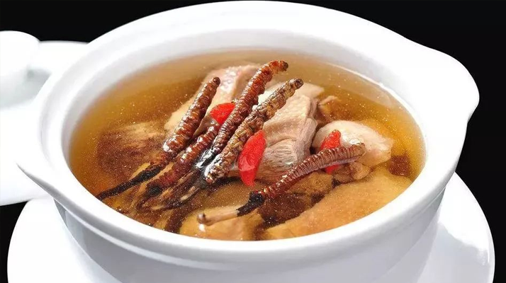 冬蟲夏草怎樣燉是最好的？掌握這幾步，營(yíng)養(yǎng)不流失還美味
