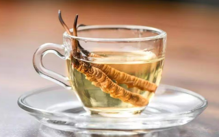 一瓶酒泡多少冬蟲夏草？科學(xué)搭配有講究