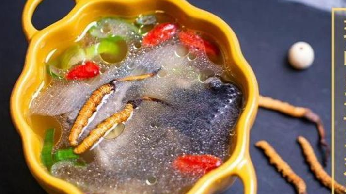 野生冬蟲夏草：副作用風險需理性看待