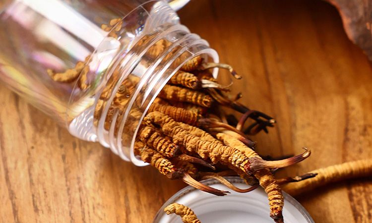 <a href=http://m.jasw8.com/jiage/ target=_blank class=infotextkey>冬蟲(chóng)夏草多少錢</a>一條 