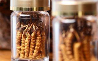 送冬蟲夏草給男孩子好嗎？分場景分析 + 送禮建議