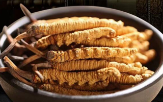 冬蟲夏草掰開后什么樣？從斷面細(xì)節(jié)識(shí)破品質(zhì)與真?zhèn)?> </div>
            <div   id=