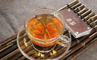 秋季進補別瞎忙！4 道冬蟲夏草配方，簡單又管用