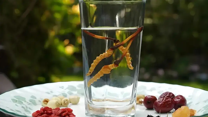 人參配蟲(chóng)草泡酒，泡多久才好喝 