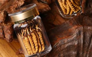 冬蟲夏草養(yǎng)生指南：分清滋補功效，避開養(yǎng)生誤區(qū)