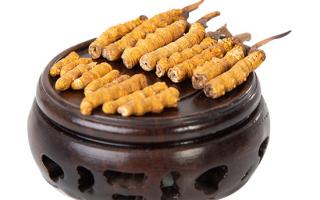 冬蟲夏草的頭期斷草好嗎？有沒有營養(yǎng)價值？