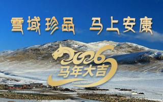 雪域高原藏珍品，2026愿您馬上安康——來自西藏那曲蟲草網(wǎng)的新春祝福