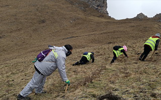 深耕那曲雪域，甄選正宗好草——2026那曲冬蟲夏草優(yōu)質(zhì)品牌盤點(diǎn)